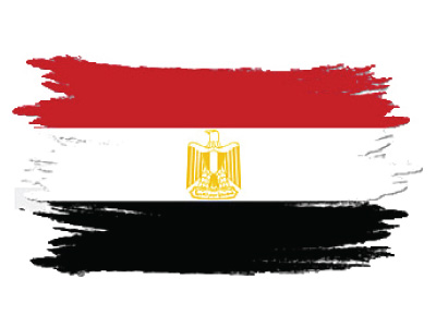 الدراسة في مصر