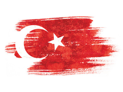 الدراسة في تركيا