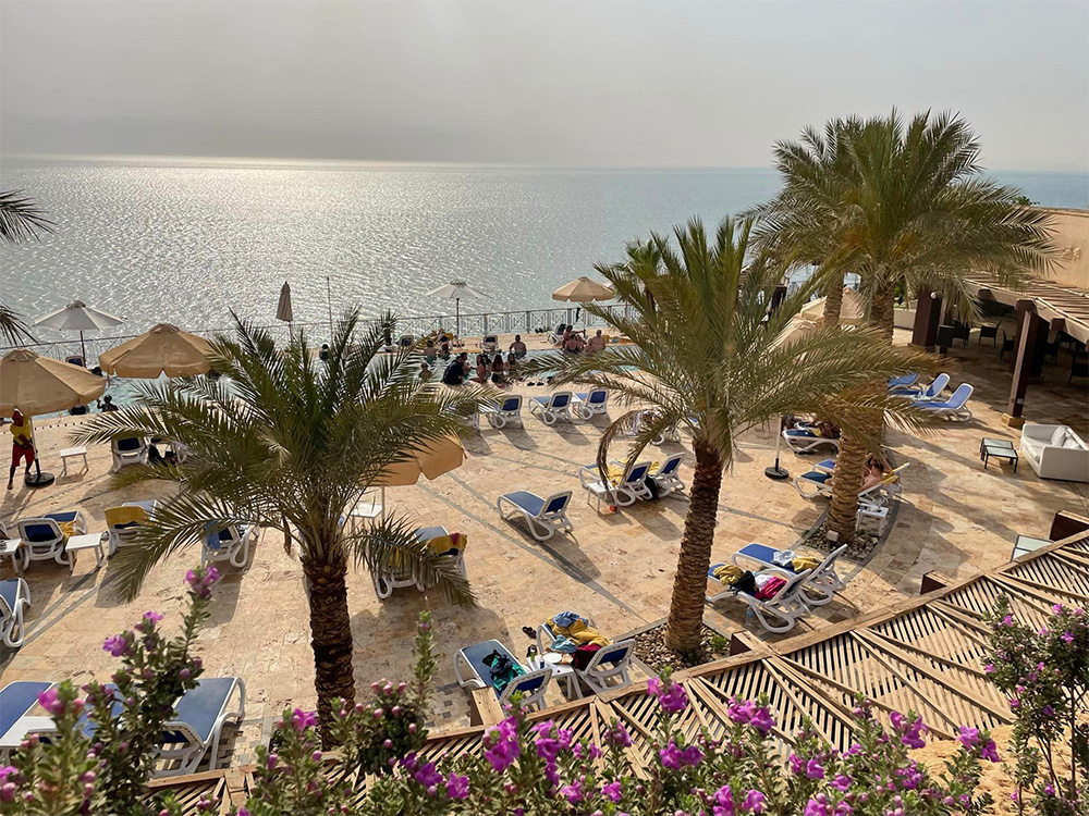 Mövenpick Resort & Spa Dead Sea Modern Language Center learn arabic in jordan